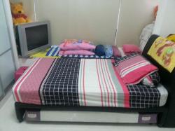 Alexis (D3), Apartment #51590422
